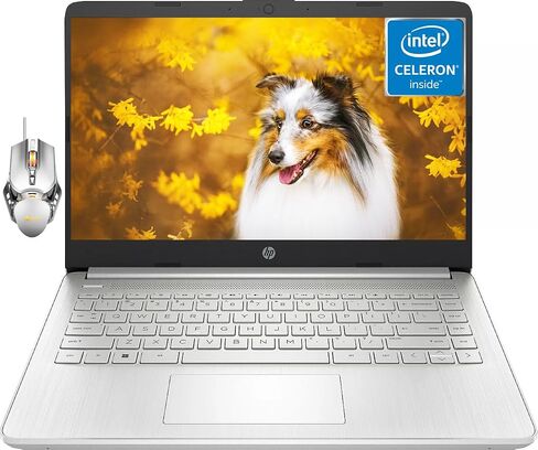 أحدث كمبيوتر محمول HP مقاس 14 بوصة للأعمال الطلابية، Intel Quad-Core N4120، ذاكرة الوصول العشوائي 16 جيجابايت، 128 جيجابايت eMMC، مكتب لمدة عام 365، عمر بطارية طويل، بلوتوث، رفيع وخفيف، MicroSD، HDMI، Windows 11 Home in Saudi Arabia