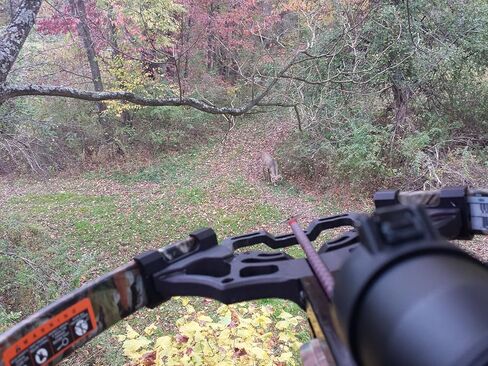 Action Mount® - Sportsman's Mount for Any Smartphone: Attaches to Sports Fishing Rod, Bow, Shotgun, Rifle, Paintball, Etc. Compatible with Any iPhone, Canon Camera. Compatible with GoPro Cameras. in Kuwait