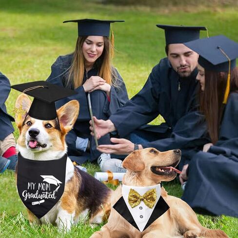 قبعة تخرج للحيوانات الأليفة، عصابات رأس للكلاب، طوق، 3 قطع، قبعة تخرج، وشاح مثلث، إكسسوارات ملابس رسمية للكلاب والقطط، مع ربطة عنق، ملابس حفلات العطلات (مجموعة 3 قطع، كبيرة) in Kuwait