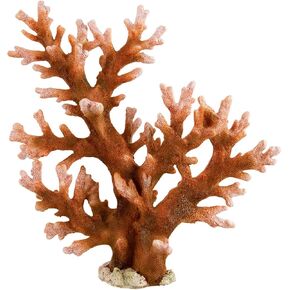 Underwater Treasures Staghorn - Large
