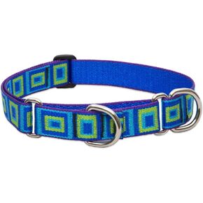 LupinePet Originals 1" Sea Glass 15-22" Martingale Collar for Medium and Larger Dogs