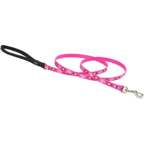 LupinePet Originals 3/4" Puppy Love 2-Foot Traffic Lead/Leash for Medium and Larger Dogs