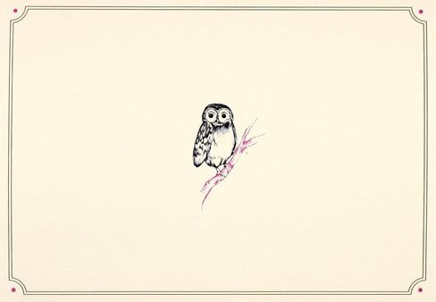 Owl Portrait Note Cards (Stationery, Boxed Cards) in Saudi Arabia
