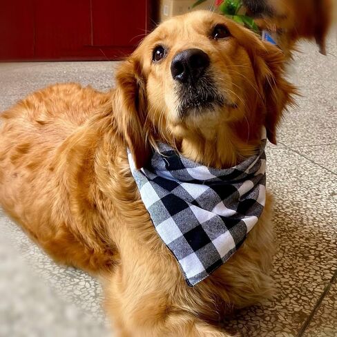 Realeaf Dog Bandanas 2 Pack، منقوشة الحيوانات الأليفة الأوشحة عكسها متقلب منديل كلاسيكي مثلث الكلب المرايل زي اكسسوارات الديكور للكلاب الكبيرة الحيوانات الأليفة in Kuwait