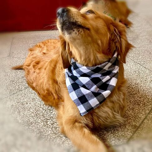Realeaf Dog Bandanas 2 Pack، منقوشة الحيوانات الأليفة الأوشحة عكسها متقلب منديل كلاسيكي مثلث الكلب المرايل زي اكسسوارات الديكور للكلاب الكبيرة الحيوانات الأليفة in Kuwait