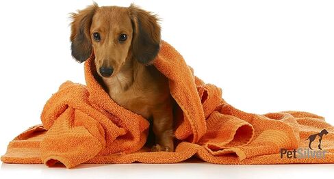 شامبو بيت سيلفر للكلاب يخفف حكة الجلد، البشرة الحساسة، يساعد في علاج الحساسية والحكة، غسول للقطط والكلاب، مصنوع من الفضة المخلبة، ورائحة الفانيليا والبرتقال، صنع في الولايات المتحدة الأمريكية، 8 أونصة. in Kuwait