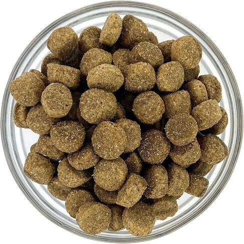 Dave's Pet Food Dogs Dry Bland Lamb & Rice (26 lb) in Saudi Arabia
