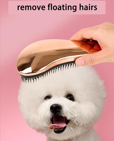 فرشاة مايلو للكلاب الصغيرة - فرشاة شعر الجرو - أداة للعناية بالدمى واليورك والمالطية وشيه تزو وتشيهواهوا in Kuwait