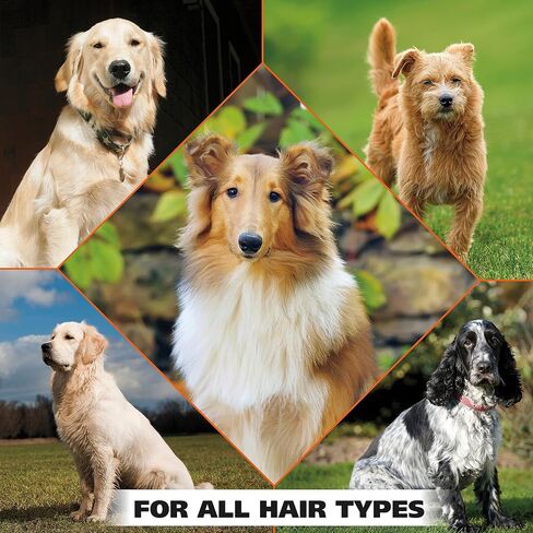 Wahl USA Pet Refresh Cleaning Wipes for All Dog Breeds - Use on Ears, Nose, Paws, Bottom, & Sensitive Areas - 50 Wipes - Model 820017A in Saudi Arabia