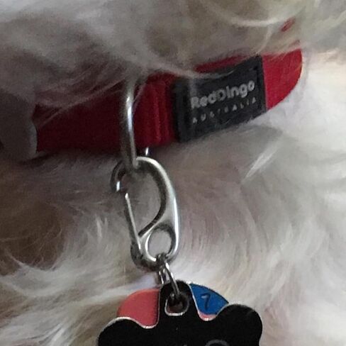 Jegtew Leash Pet Tag Quick Clip, Spring Load Hook Combo Clip for Pet ID Tags in Kuwait