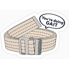 (3pcs) You're Doing Gait Sticker - Physical Therapy Gift - Ci, Dpt, Physical Therapist, SPT, Rehab, Ot, Humor - Gait Belt - Laptop, Kindle Sticker - Tumbler Stickers - Water Bottle Sticker (Size 3")