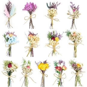 Dried Flower Natural Dried Floral Plant Mini Bouquet Photography Props Dry Flower Flower Bundle Plant Stem Bunch for DIY Craft 6 PCS