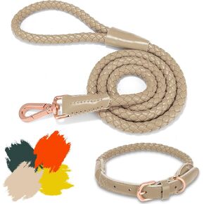 Soft Leather Dog Leash and Collar Set, Stylish Sturdy Braided Waterproof Collar and Leash, Heavy Duty Rose Gold Buckle, 4ft for Large Medium Small Dogs Walking Training Leash (Green, S)