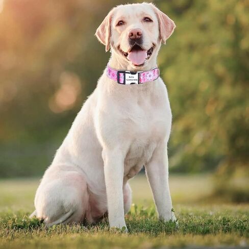 Moonpet Dog Collars for Puppy X-Small Small Medium Large Dogs - Unisex Cute Design Boys Girls Dog Pet Collar Soft Adjustable Bohemia Fancy Floral Dog Collars-Daisy-S in Saudi Arabia