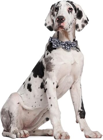 Halloween Dog Collar with Removable Cute Bow Tie Adjustable Pet Collars Medium in Saudi Arabia