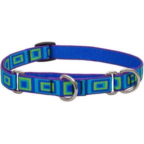 LupinePet Originals 3/4" Sea Glass 14-20" Martingale Collar for Medium and Larger Dogs