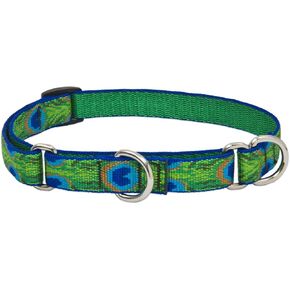 LupinePet Originals 3/4" Tail Feathers 10-14" Martingale Collar for Small Dogs