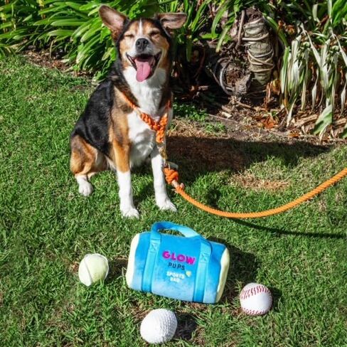 Sports Bag Hide and Seek Dog Toy, 3 Plush Balls with Squeakers, Basketball, Soccer Ball, Football in Kuwait