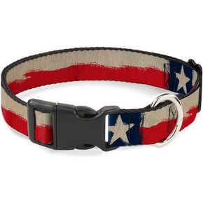 Buckle-Down Plastic Clip Collar - Texas Flag CLOSE-UP Distressed Painting - 1" Wide - Fits 11-17" Neck - Medium