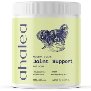 Mobility Bites Dog Joint Supplement - Hip and Joint Chews for Dogs - Pet Products with Glucosamine, Chondroitin, & MSM + Vitamins C and E for Dog Joint Relief 60 ct