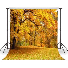 LYWYGG 10x10ft Fall Picture Backdrop Yellow Leaves Filled with Trees Autumn Scenery Vinyl Fall Photography Backdrops Studio Background Photo Backdrops Studio Props CP-63