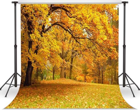 LYWYGG 10x10ft Fall Picture Backdrop Yellow Leaves Filled with Trees Autumn Scenery Vinyl Fall Photography Backdrops Studio Background Photo Backdrops Studio Props CP-63 in Saudi Arabia