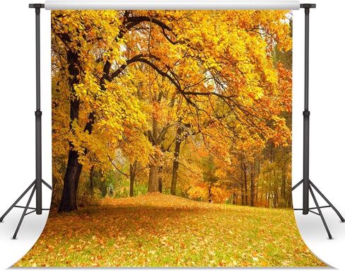 LYWYGG 10x10ft Fall Picture Backdrop Yellow Leaves Filled with Trees Autumn Scenery Vinyl Fall Photography Backdrops Studio Background Photo Backdrops Studio Props CP-63 in Kuwait
