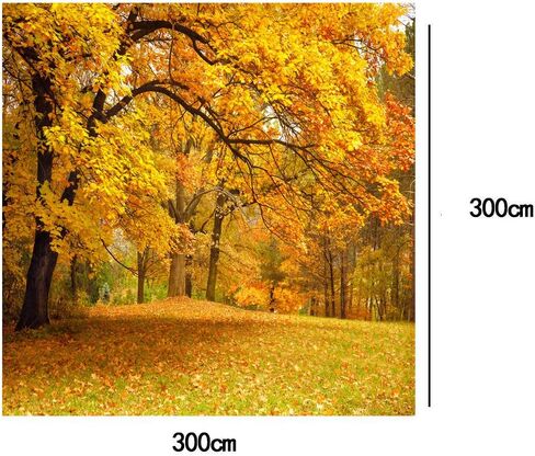 LYWYGG 10x10ft Fall Picture Backdrop Yellow Leaves Filled with Trees Autumn Scenery Vinyl Fall Photography Backdrops Studio Background Photo Backdrops Studio Props CP-63 in Saudi Arabia