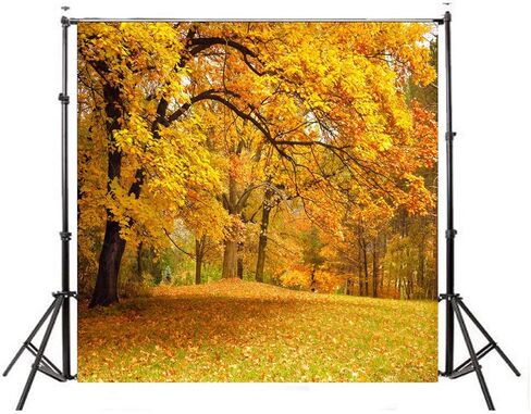 LYWYGG 10x10ft Fall Picture Backdrop Yellow Leaves Filled with Trees Autumn Scenery Vinyl Fall Photography Backdrops Studio Background Photo Backdrops Studio Props CP-63 in Kuwait