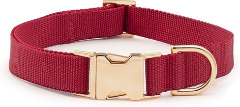 Indestructible Dog Collar, Fully Customizable Fit, Waterproof Nylon, Odor-Resistant, Metal Buckle and Adjusters (Maroon, Medium, 1") in Saudi Arabia