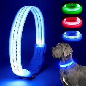 Light Up Dog Collar, LED Lighted Reflective Dog Collars for Night USB Rechargeable, Glow Collar for Dogs, Waterproof Adjustable Flashing Dog Collar for Night Safety (Blue, Medium)
