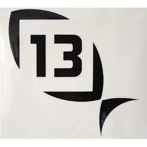 13 FISHING - Decal