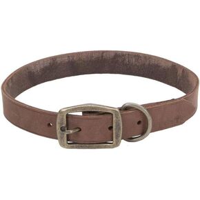 Coastal Pet - Circle T - Rustic Leather Town Dog Collar, Slate Grey, 3/8" x 10"
