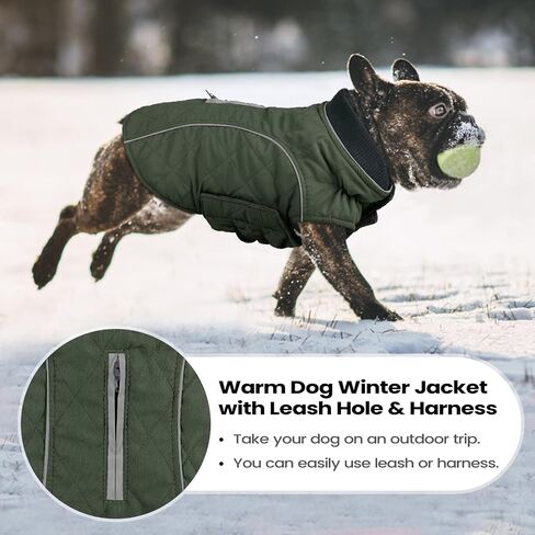 MIGOHI Dog Jacket for Winter, Windproof Dog Coat with Reflective Trims for Cold Weather, Warm Dog Winter Coats Padded Dog Puffer Jackets for Small Medium Large Dogs, Green XL in Saudi Arabia