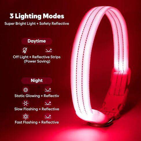 Light Up Dog Collar, LED Lighted Reflective Dog Collars for Night USB Rechargeable, Glow Collar for Dogs, Waterproof Adjustable Flashing Dog Collar for Night Safety (Blue, Medium) in Kuwait