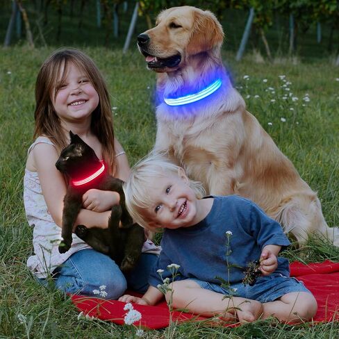 Light Up Dog Collar, LED Lighted Reflective Dog Collars for Night USB Rechargeable, Glow Collar for Dogs, Waterproof Adjustable Flashing Dog Collar for Night Safety (Blue, Medium) in Kuwait