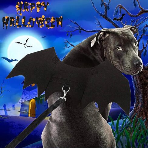 Dog Bat Wings Costume Halloween Pet Costume 3PCS Funny Cat Dog Wings with Leash Pumpkin Jingle Bell Cosplay Bat Clothes for Small Medium Large Dogs Puppy Holiday Outfit Dress (Bat Wings, Medium) in Kuwait