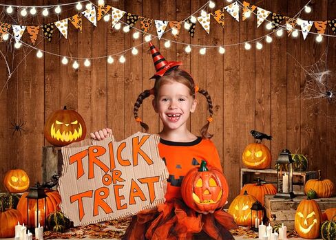 LYCGS 7X5FT Halloween background Halloween Themed Pumpkin Lantern Photography Backdrop Rustic Wood Background Spider web horror nightmare Party Decoration X-54 in Saudi Arabia
