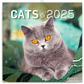 Presco Group Calendar 2024, Cats Wall Calendar, Monthly Calendar, 16 Month Hanging Calendar Sep 2023 - Dec 2024, 12x12 in.