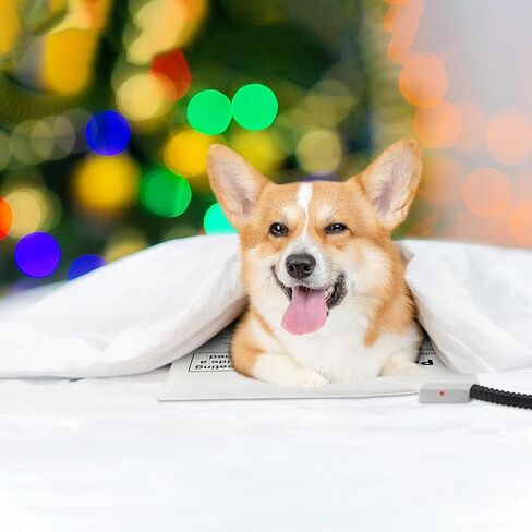 Pet Bed Warmer, Compact Heating Pad Insert for Cat Dog Beds, Turn Any Pet Bed Into a Heated Pet Bed, Waterproof Heated Bed Mat with Chew-Resistant Cord, Safe and Warm (M:9'' x 9'') in Kuwait