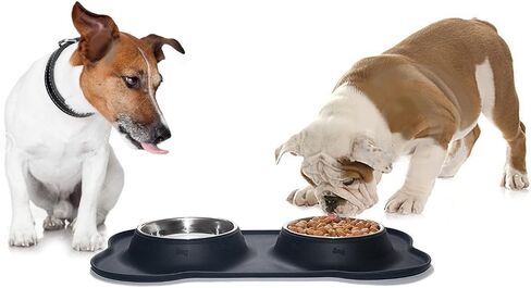 Lifepul(TM Dog Bowls الفولاذ المقاوم للصدأ أطباق مزدوجة للكلاب والقطط والحيوانات الأليفة الصغيرة مع حصيرة سيليكون مضادة للانسكاب وغير قابلة للانزلاق، أسود 24 أونصة in Saudi Arabia