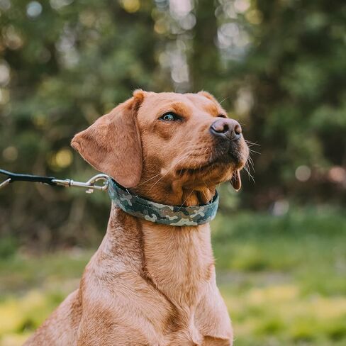 Herm Sprenger Camouflage Green Nylon Cover for Ultra-Plus Pinch Dog Collar for Small Medium Large Dogs Durable Protector for Dog Training Prong Collar (16in (40cm)) in Saudi Arabia