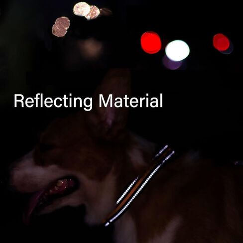 Adjustable Reflective Nylon Dog Collar with Quick Release Buckle and 2 Loops for Medium Large Dogs（Red M） in Kuwait