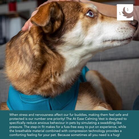 RC Pet Products at Ease Calming Vest, Reduce Anxious Behavior, Swaddling-Like Pressure | XS, Dark Teal in Kuwait