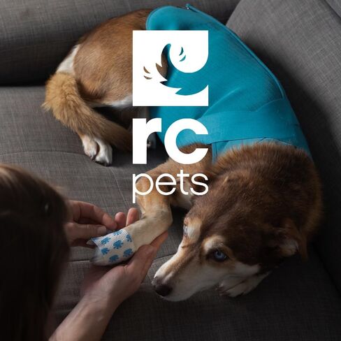 RC Pet Products at Ease Calming Vest, Reduce Anxious Behavior, Swaddling-Like Pressure | XS, Dark Teal in Kuwait