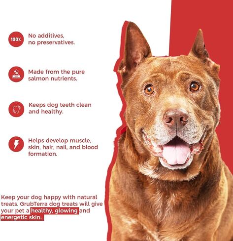 GrubTerra Premium All Natural Salmon Treat, Single Ingredient Dog Treats, Dog Food, Healthy Snacks, Ideal for Dog Training Treats, Bully Sticks for Canine Nutrition 8 oz in Saudi Arabia