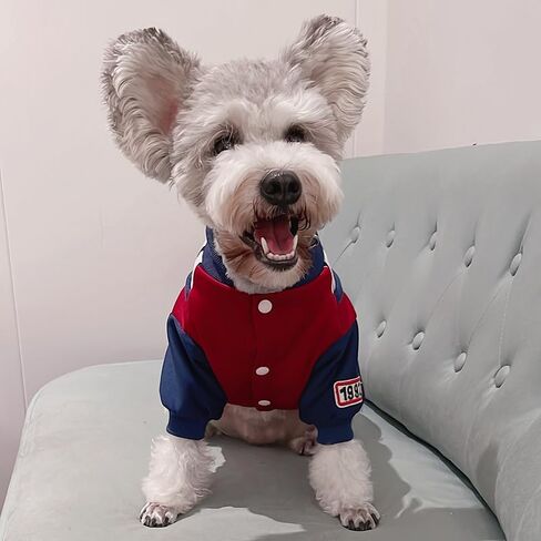 Autumn and Winter pet Dog Apparel 2 Legged Clothes British Preppy Style Coat for Warm Add Fluff Soft Velvet Casual Jumpsuit for Small Medium Bichon Frise Schnauzer Poodle Teddy Dog (X-Large) in Saudi Arabia