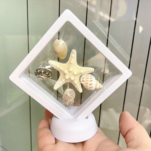Large starfish, 5-6inch/13-15cm, natural real starfish, starfish decor, star fish shells decorations Flat Sea Stars for beach Crafts, Wedding Ocean Themed Home Accent Decor in Saudi Arabia