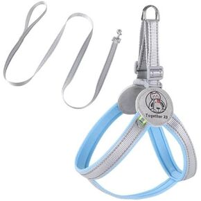 Easy Walk Dog Harness - No Pull Dog Harness，Dog Harness Collar and Leash Set Step in Pet Harness for Small Medium Dogs and Cats Outdoor Walking Running， Dog Vest Harnesses (Pink, S)