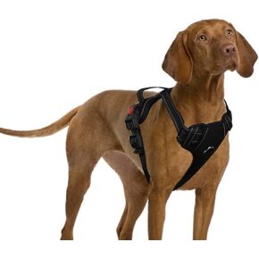 Dog Harness for Large Dogs No Pull Pet Harness with Reflective Strips Easy Control Handle and Adjustable 2 Metal Rings 2 Buckles No Choke Soft Padded Pet Vest for Training Walking(Orange,L)